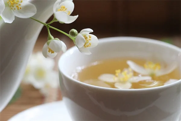 枯れかけた観葉植物を復活させる7つのステップ