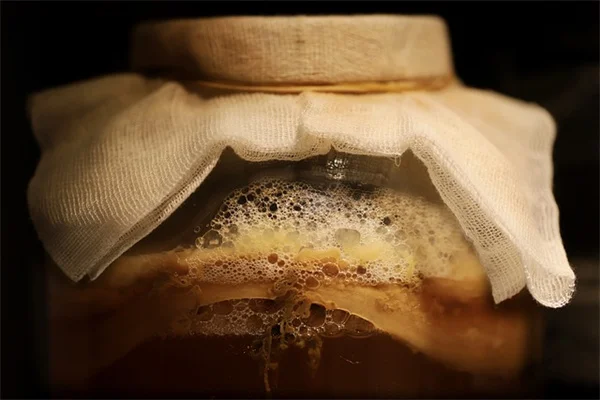 自然な庭のアイデアを簡単に実現する方法！芝生の代わりに在来種で作るエコな庭